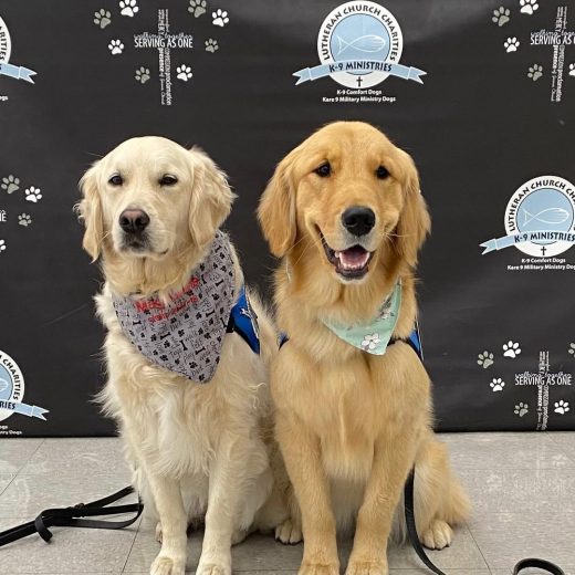 553028679_837141318874326_7976194947387647020_n