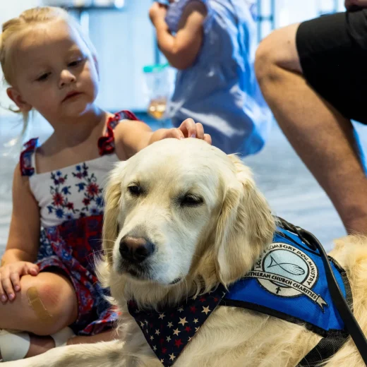 A little girl gently petting a golden retriever therapy dog at a church event.